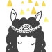 AlpacaCase
