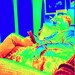 Josh avatar