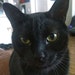 User photo