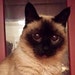 Buyer Avatar