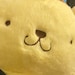 CptCinnabun