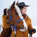 AnnaHlushkoEquineArt