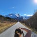 DownloadDesignByRosa