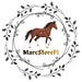 MarcStoreFI