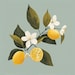 WhatIfCraftsStudio