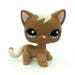 Buyer Avatar
