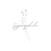 GypsophilaCorp