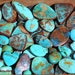 Turquoise Zone