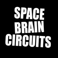 SpaceBrainCircuits
