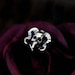 rapyskull