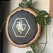 BeeHealthyHive