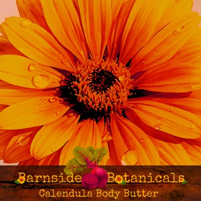 Barnside Botanicals Bodycare's profile picture
