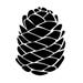 PineconeLeather