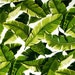 Fabric Supply Inc. avatar