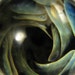 FireWarpedGlass