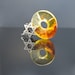 AmberJudaica