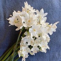 DouxBonheur