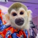 Chacha Ramnarong