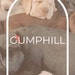 ForrestGumpHill