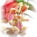 RaspberryRabbit