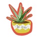 Buyer Avatar