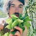 PlantGoodSeed