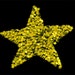 Teasa Star