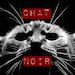 ChatNoir01