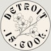 Detroit is Cool