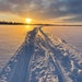 Arctic4rest