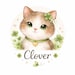 CloverCloverTexas