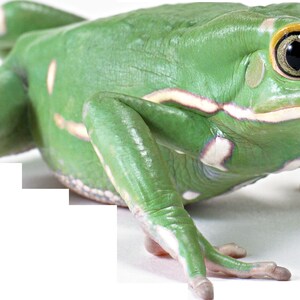 Sweetest Horror series 3 - Etsy