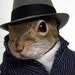 Larry Ray avatar