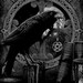 The Cunning Olde Crow avatar