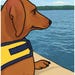 TheWienerfulLifeCo