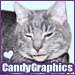 Heather avatar