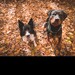 User photo
