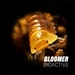 Bloomer Bioactive