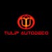 TulipAutoDecoCA