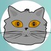 Buyer Avatar