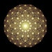 Nole Bolinger avatar