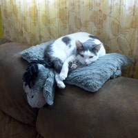 AllMyOldThings
