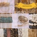 Maz Collection