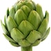 artichoke baby