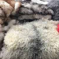 RugsWorldBoutique
