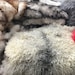 RugsWorldBoutique