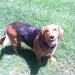 DaisyDogPottery avatar