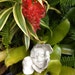 Gar-Zen Botanical Designs