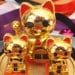 Kitten Treasures avatar