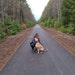 MountainPawsPottery